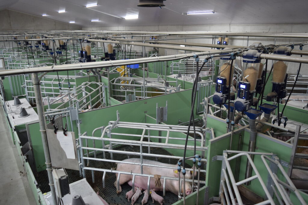 Informationsseite unserer Bewegungsbuchten