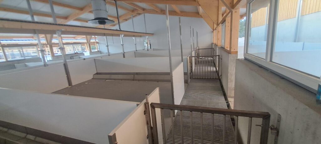 Maststall Haltungsstufe 3