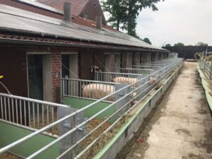 Haltungsstufen 3 - 4