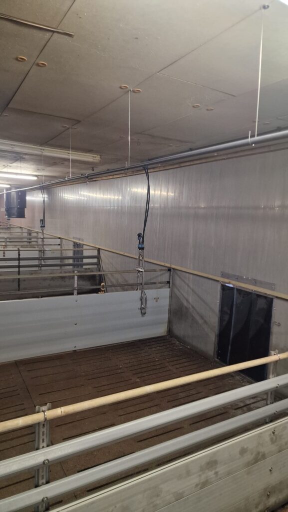 Umbau Mast auf Haltungsstufe 3