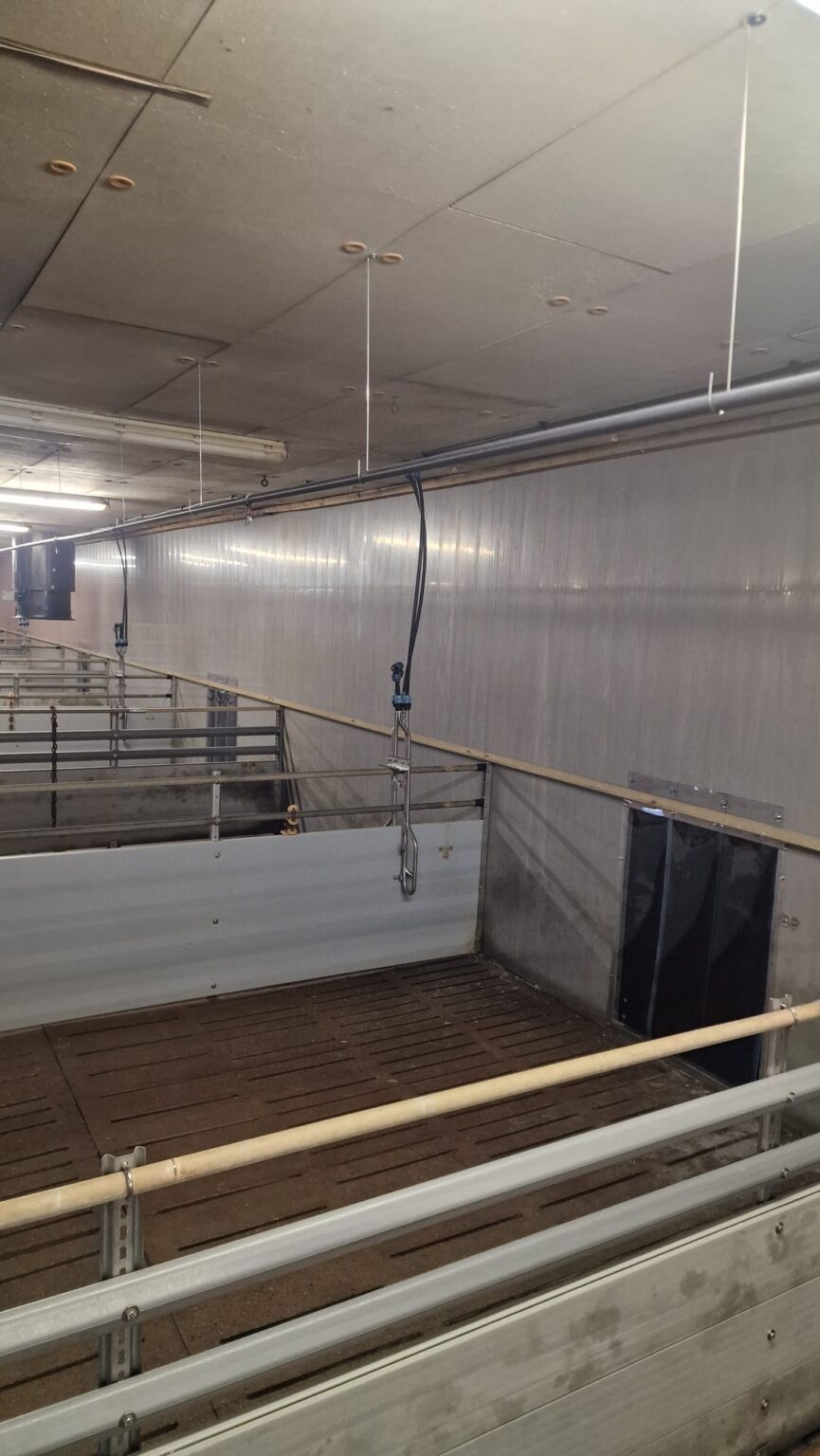 Umbau Mast auf Haltungsstufe 3