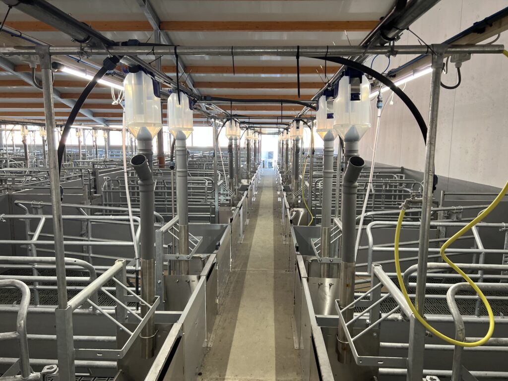 Bewegungsbucht Gerade