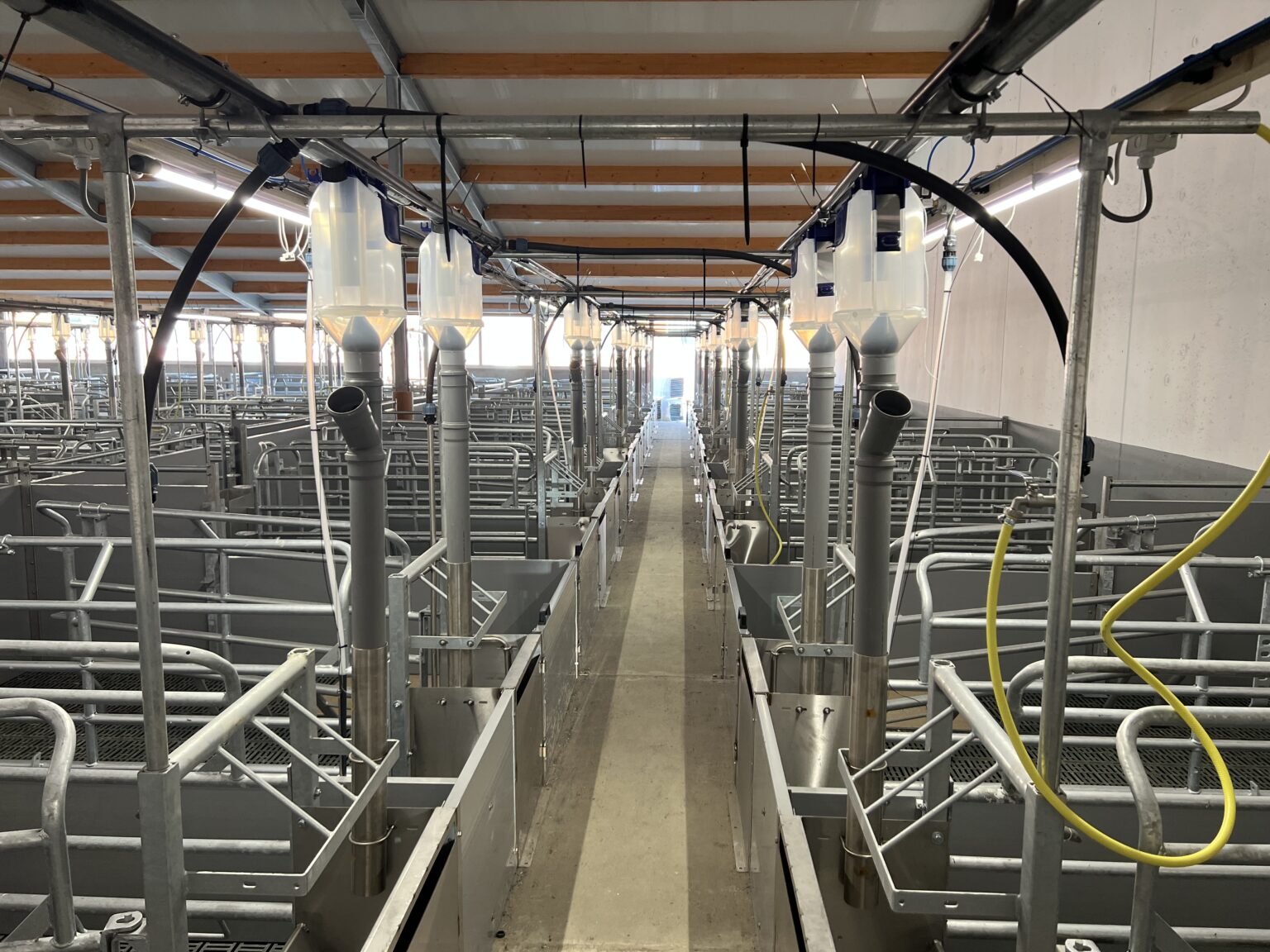 Bewegungsbucht Gerade