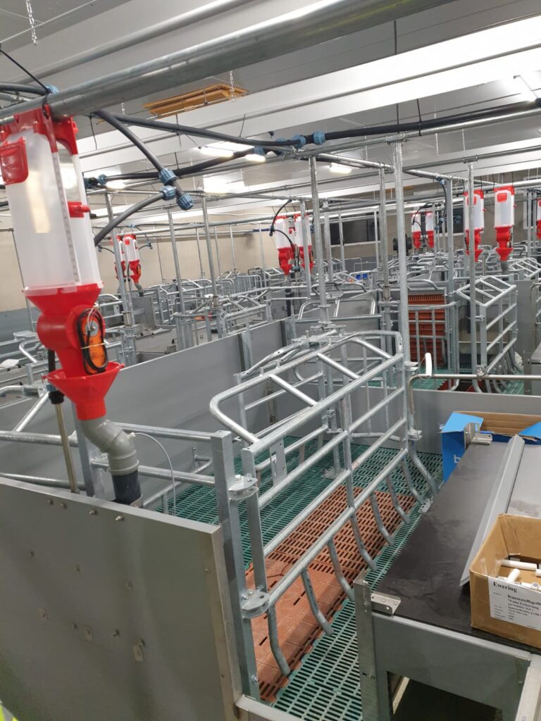 Bewegungsbucht Flügel