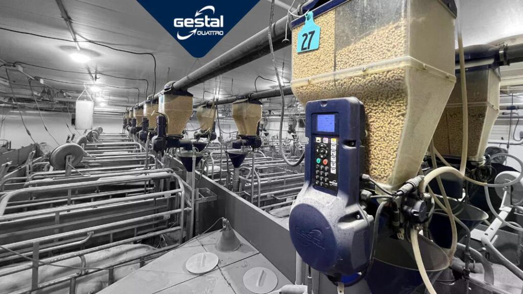 Gestal Quattro