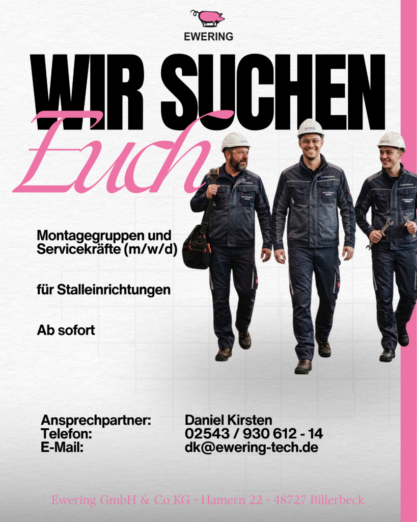Montagegruppen und Servicekräfte (m/w/d)